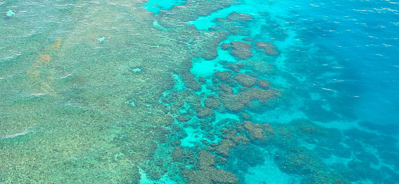 Australia a Dream Tourist Destination reef